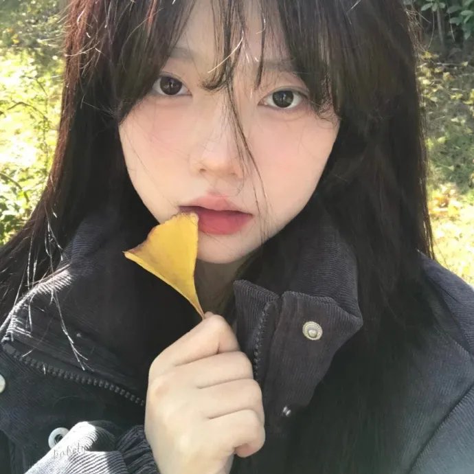 吃土的十二个月